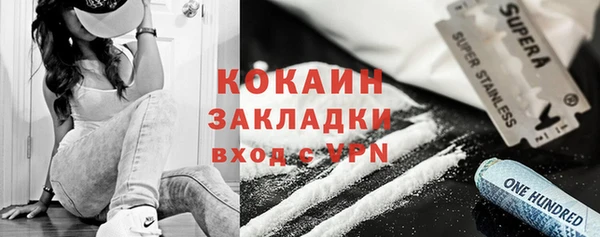 прущие грибы Покачи