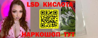 дживик Гай