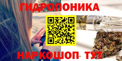 стаф Абакан