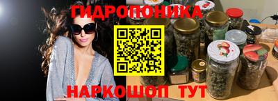 дживик Гай