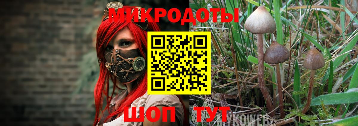 Галлюциногенные грибы Psilocybe  Вход с VPN  Ангарск 