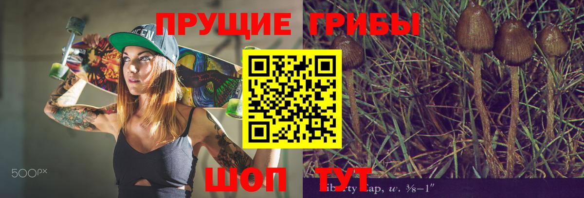 Ангарск  Псилоцибиновые грибы GOLDEN TEACHER  хочу наркоту  Вход с VPN 