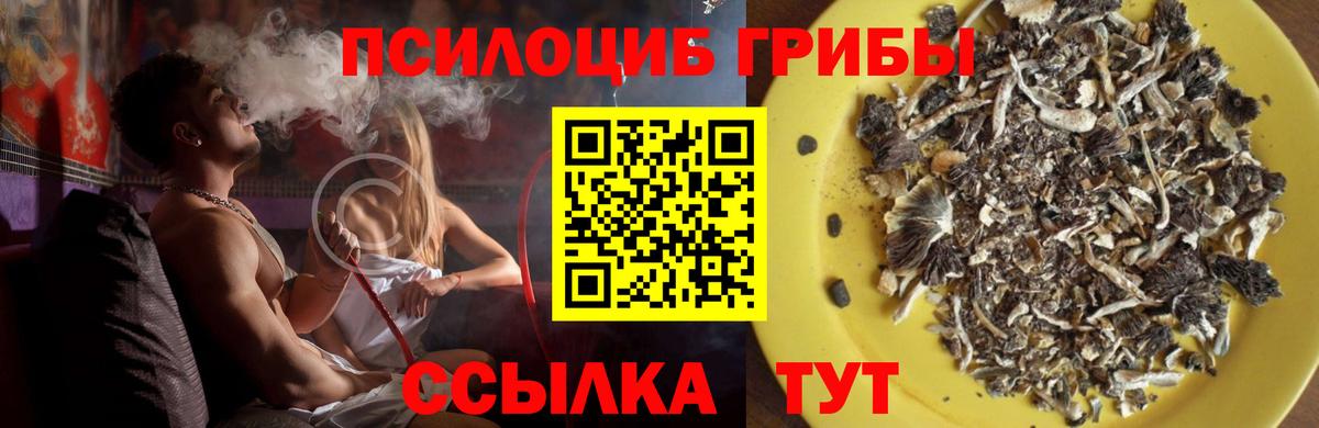 Галлюциногенные грибы Magic Shrooms  Галлюциногенные грибы мицелий  Ангарск 